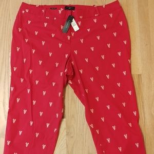 NWT Talbots 22W Red Cropped Pants w Pink Lobsters